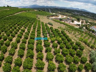 Αγροτεμάχια 57.478 τ.μ. για πώληση, Αργολίδα, Άργος-thumb-16