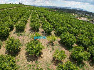 Αγροτεμάχια 57.478 τ.μ. για πώληση, Αργολίδα, Άργος-thumb-20