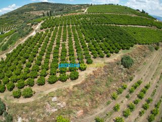 Αγροτεμάχια 57.478 τ.μ. για πώληση, Αργολίδα, Άργος-thumb-14