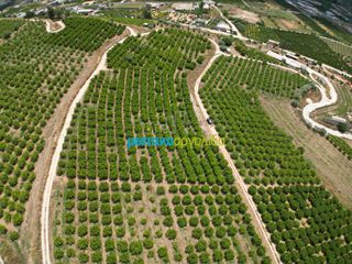 Αγροτεμάχια 57.478 τ.μ. για πώληση, Αργολίδα, Άργος-thumb-11