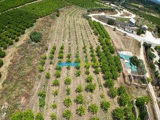 Αγροτεμάχια 57.478 τ.μ. για πώληση, Αργολίδα, Άργος-thumb-13
