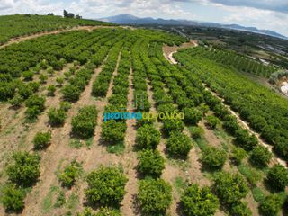 Αγροτεμάχια 57.478 τ.μ. για πώληση, Αργολίδα, Άργος-thumb-21