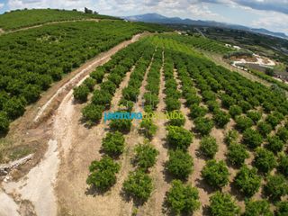 Αγροτεμάχια 57.478 τ.μ. για πώληση, Αργολίδα, Άργος-thumb-17