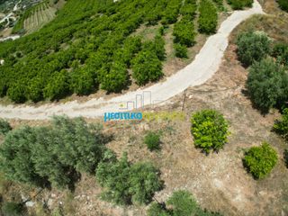Αγροτεμάχια 57.478 τ.μ. για πώληση, Αργολίδα, Άργος-thumb-12