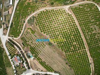 Αγροτεμάχια 57.478 τ.μ. για πώληση, Αργολίδα, Άργος-thumb-8