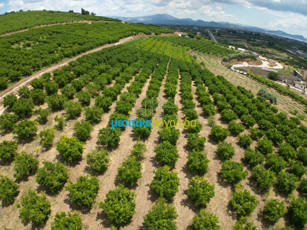 Αγροτεμάχια 57.478 τ.μ. για πώληση, Αργολίδα, Άργος