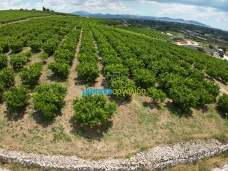 Αγροτεμάχια 57.478 τ.μ. για πώληση, Αργολίδα, Άργος-thumb-19