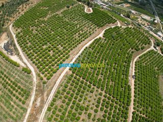 Αγροτεμάχια 57.478 τ.μ. για πώληση, Αργολίδα, Άργος-thumb-10