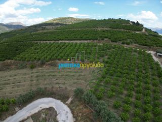 Αγροτεμάχια 57.478 τ.μ. για πώληση, Αργολίδα, Άργος-thumb-4