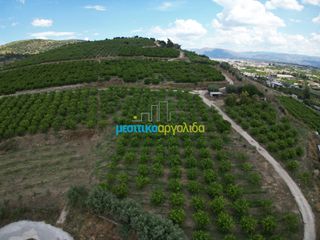 Αγροτεμάχια 57.478 τ.μ. για πώληση, Αργολίδα, Άργος-thumb-3