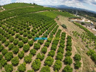 Αγροτεμάχια 57.478 τ.μ. για πώληση, Αργολίδα, Άργος-thumb-15
