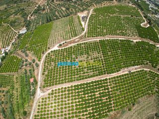 Αγροτεμάχια 57.478 τ.μ. για πώληση, Αργολίδα, Άργος-thumb-1