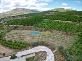 Αγροτεμάχια 57.478 τ.μ. για πώληση, Αργολίδα, Άργος-thumb-5
