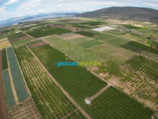 Οικόπεδο 29.255,75 τ.μ. για πώληση, Αργολίδα, Ασίνη-thumb-4