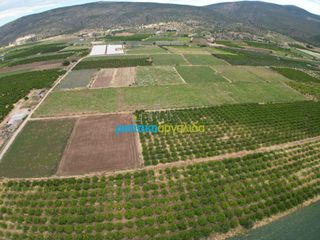 Οικόπεδο 29.255,75 τ.μ. για πώληση, Αργολίδα, Ασίνη-thumb-2