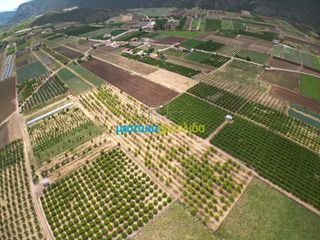 Οικόπεδο 29.255,75 τ.μ. για πώληση, Αργολίδα, Ασίνη-thumb-9