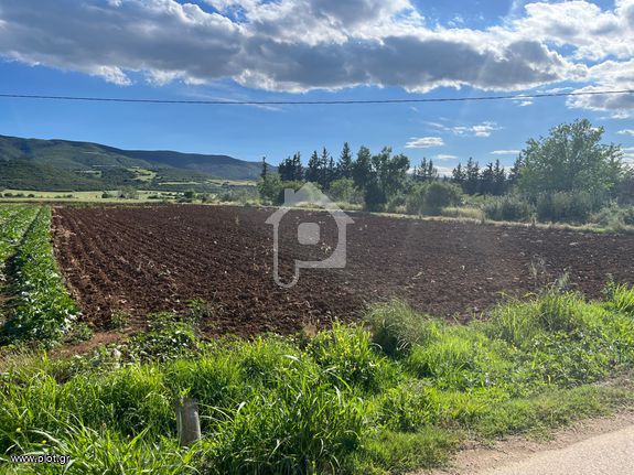 Αγροτεμάχια 3.000 τ.μ. για πώληση, Θεσσαλονίκη - Περιφ/Κοί Δήμοι, Θέρμη