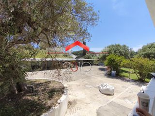 Studio / γκαρσονιέρα 30 τ.μ. προς ενοικίαση, Ποσείδι-thumb-11