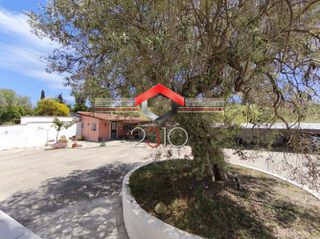 Studio / γκαρσονιέρα 30 τ.μ. προς ενοικίαση, Ποσείδι-thumb-12