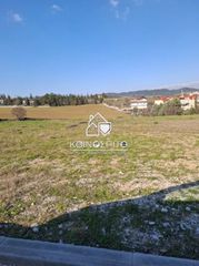 Αγροτεμάχια 5.829 τ.μ. για ενοικίαση
