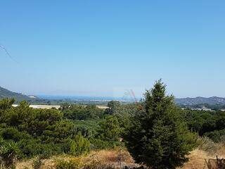 Μεζονέτα 230 τ.μ. για πώληση