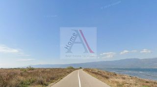 Αγροτεμάχια 30.000 τ.μ. για πώληση