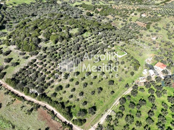 Αγροτεμάχια 12.013 τ.μ. για πώληση, Νησιά Αργοσαρωνικού, Τροιζήνα