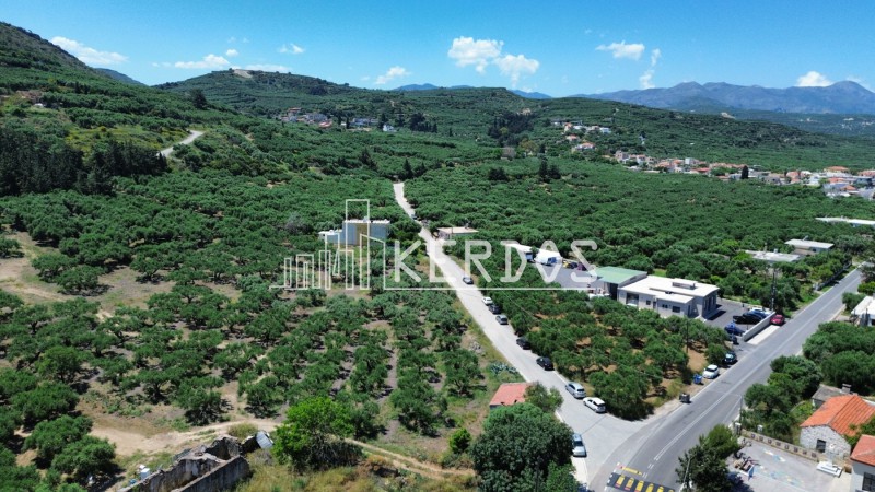 Οικόπεδο 12.764 τ.μ. προς πώληση, Δραπανιάς