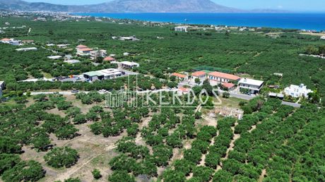 Οικόπεδο 12.764 τ.μ. προς πώληση