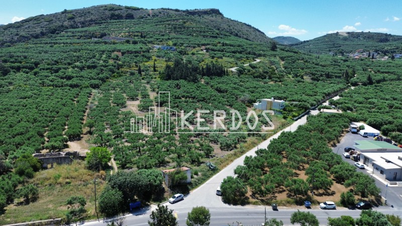 Οικόπεδο 12.764 τ.μ. προς πώληση, Δραπανιάς