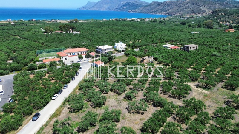Οικόπεδο 12.764 τ.μ. προς πώληση, Δραπανιάς