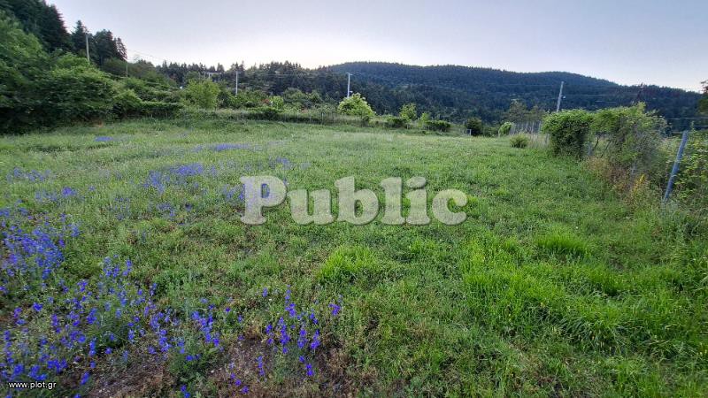 Οικόπεδο 1.800 τ.μ. προς πώληση, Μαλεσίνα Φθιώτιδας