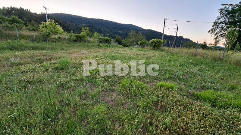Οικόπεδο 1.800 τ.μ. προς πώληση, Μαλεσίνα Φθιώτιδας