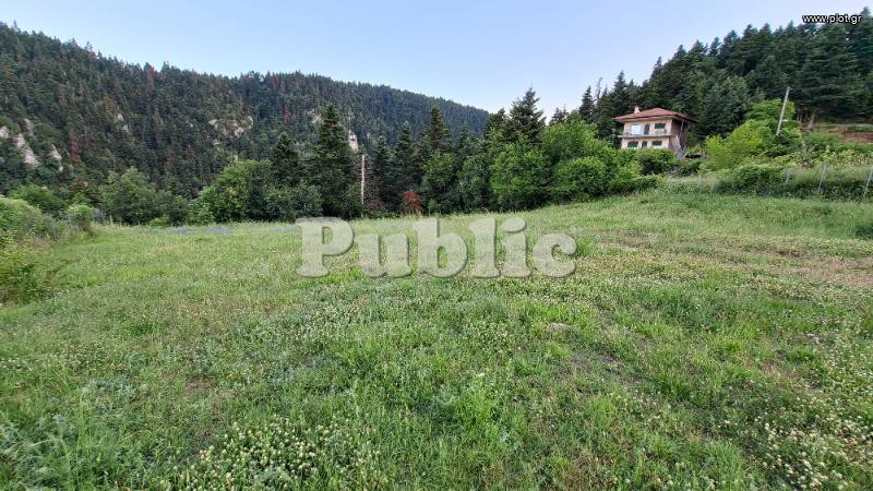 Οικόπεδο 1.800 τ.μ. προς πώληση, Μαλεσίνα Φθιώτιδας
