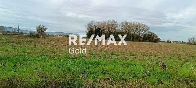 Parcel 9.000 sqm for sale, Thessaloniki - Rest Of Prefecture, Lagkadas