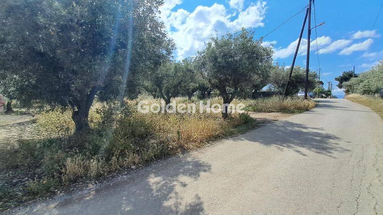 Οικόπεδο 1.378 τ.μ. για πώληση, Φωκίδα, Ιτέα