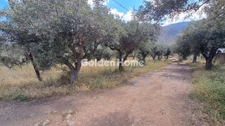 Οικόπεδο 1.378 τ.μ. για πώληση, Φωκίδα, Ιτέα-thumb-7