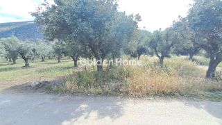 Οικόπεδο 1.378 τ.μ. για πώληση, Φωκίδα, Ιτέα-thumb-8