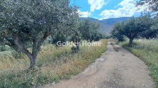 Οικόπεδο 1.378 τ.μ. για πώληση, Φωκίδα, Ιτέα-thumb-6