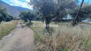 Οικόπεδο 1.378 τ.μ. για πώληση, Φωκίδα, Ιτέα-thumb-3