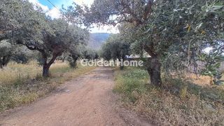 Οικόπεδο 1.378 τ.μ. για πώληση, Φωκίδα, Ιτέα-thumb-5