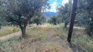 Οικόπεδο 1.378 τ.μ. για πώληση, Φωκίδα, Ιτέα-thumb-10