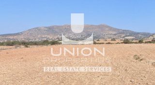 Αγροτεμάχια 10.637,17 τ.μ. πρός πώληση