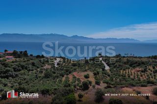 Οικόπεδο 7.419,97 τ.μ. για πώληση, Μεσσηνία, Πεταλίδι-thumb-2