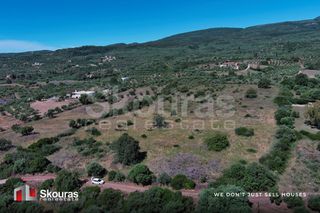Οικόπεδο 7.419,97 τ.μ. για πώληση, Μεσσηνία, Πεταλίδι-thumb-11