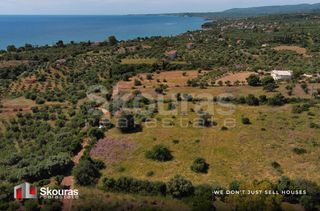 Οικόπεδο 7.419,97 τ.μ. για πώληση, Μεσσηνία, Πεταλίδι-thumb-15