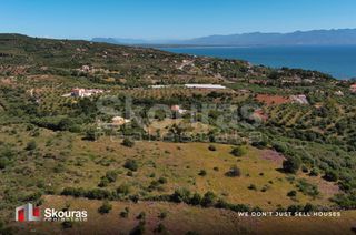 Οικόπεδο 7.419,97 τ.μ. για πώληση, Μεσσηνία, Πεταλίδι-thumb-23