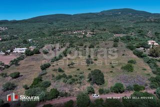 Οικόπεδο 7.419,97 τ.μ. για πώληση, Μεσσηνία, Πεταλίδι-thumb-10