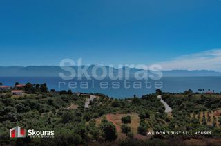 Οικόπεδο 7.419,97 τ.μ. για πώληση, Μεσσηνία, Πεταλίδι-thumb-6