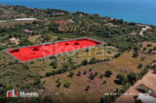 Οικόπεδο 7.419,97 τ.μ. για πώληση, Μεσσηνία, Πεταλίδι